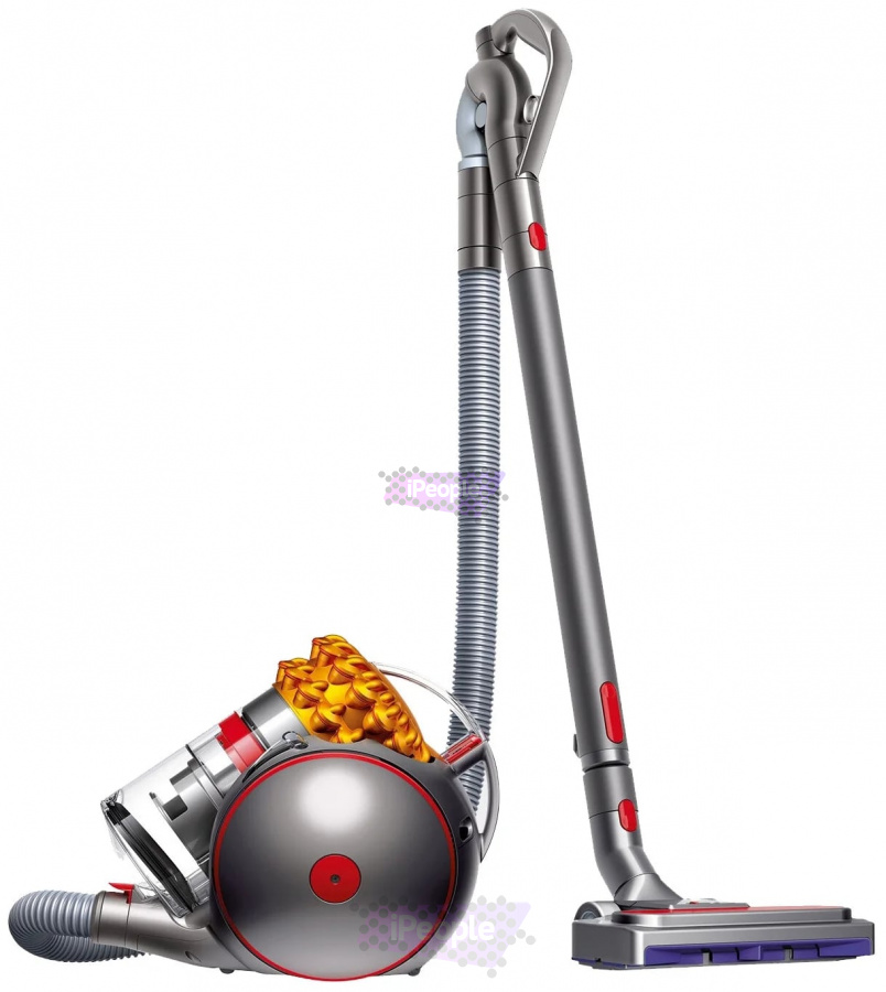 Фото Купить Dyson Big Ball Multifloor 2 по низкой цене в Москве