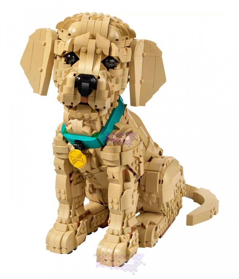 Фото Купить LEGO Icons 11384 Щенок золотистого ретривера по низкой цене в Москве