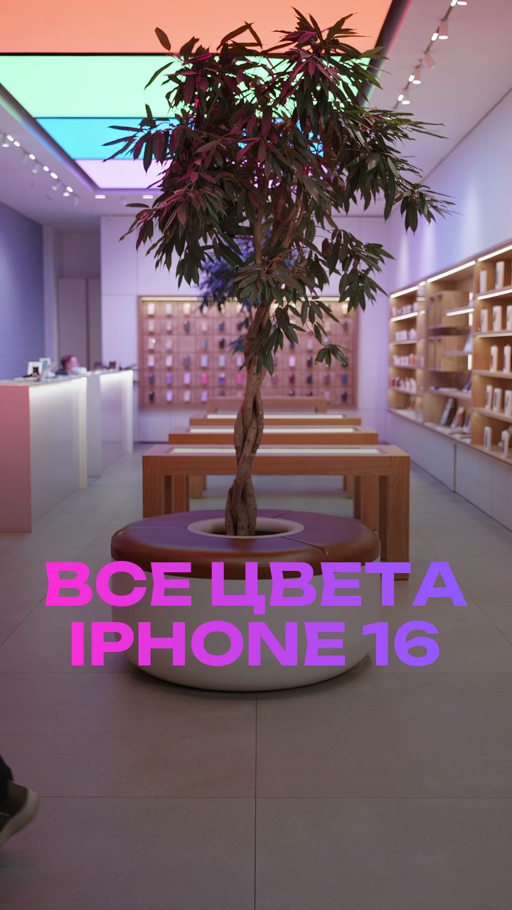 Все цвета iPhone 16