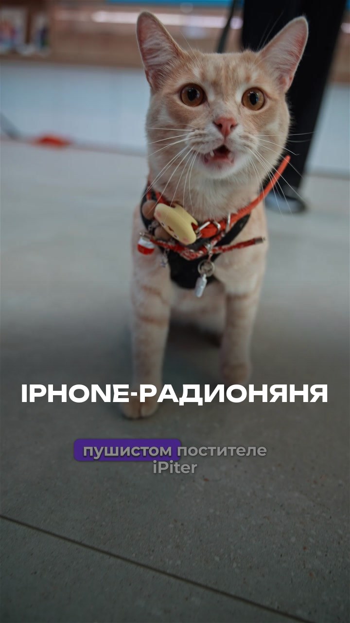 iPhone-Радионяня
