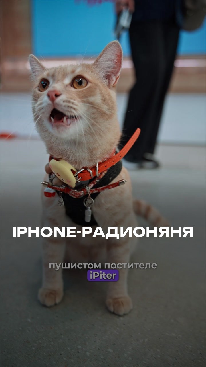 iPhone-Радионяня