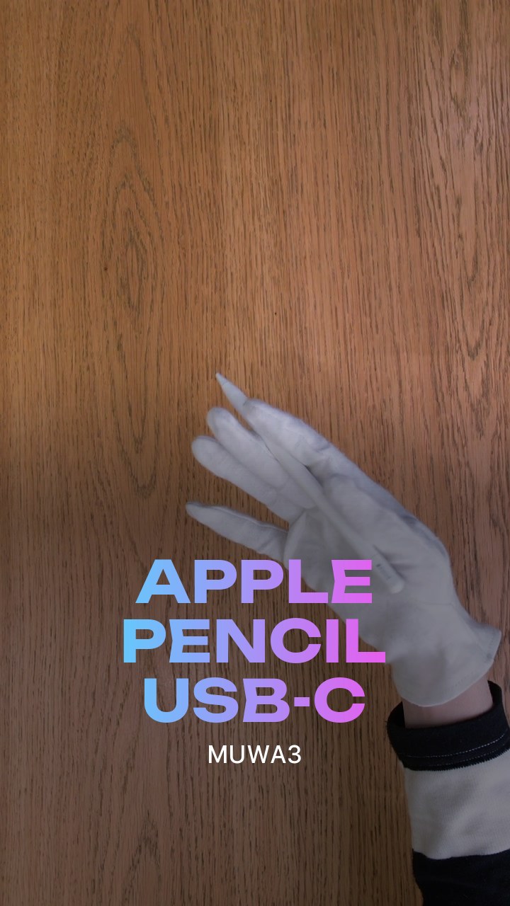 Apple Pencil USB-C (MUWA3)