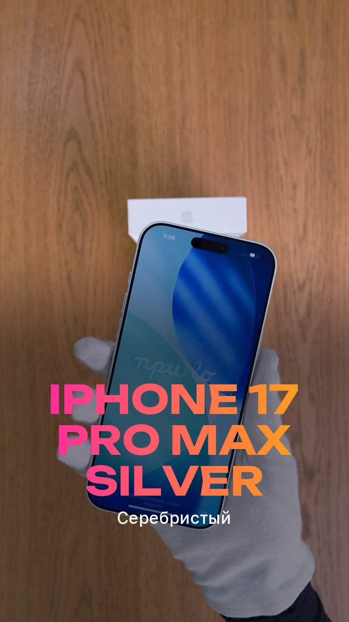 Apple iPhone 17 Pro Max Silver (Серебристый)