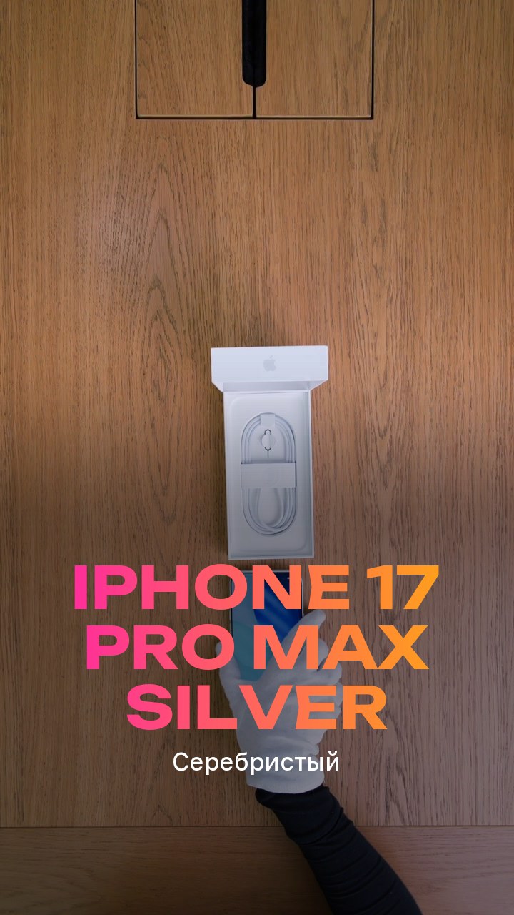Apple iPhone 17 Pro Max Silver (Серебристый)