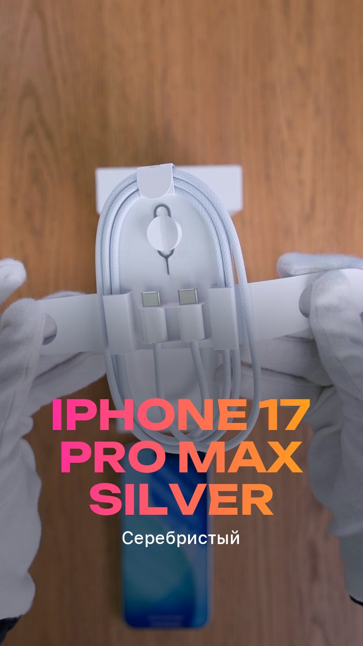 Apple iPhone 17 Pro Max Silver (Серебристый)