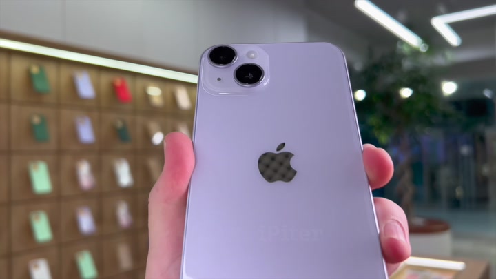 iPhone 14 Purple