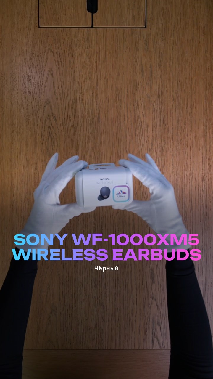 Sony WF-1000XM5 Wireless Earbuds (Чёрный)