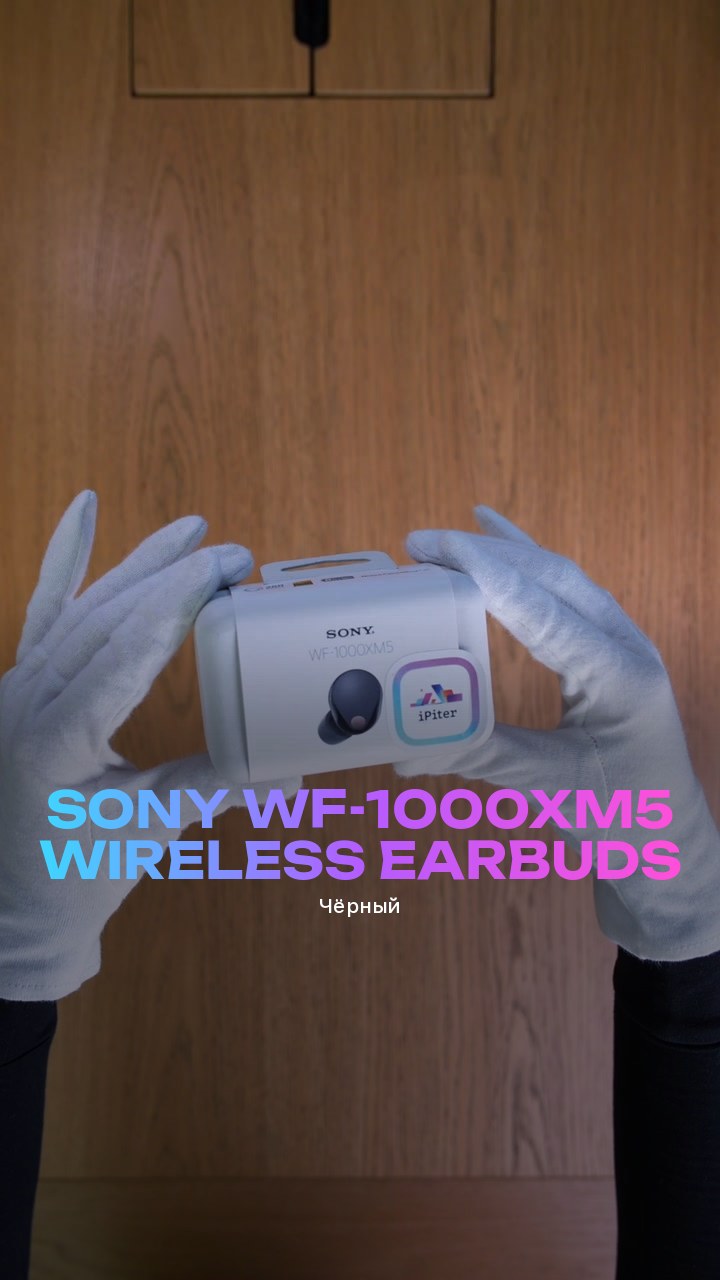 Sony WF-1000XM5 Wireless Earbuds (Чёрный)