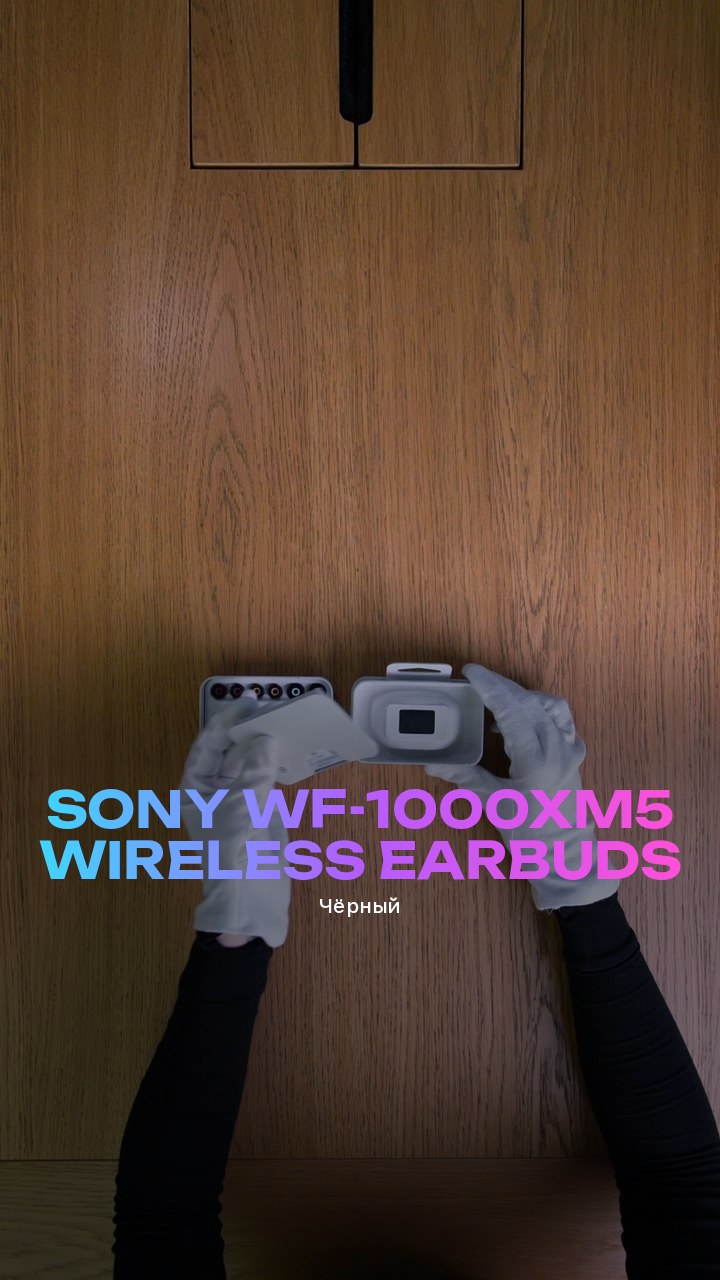 Sony WF-1000XM5 Wireless Earbuds (Чёрный)