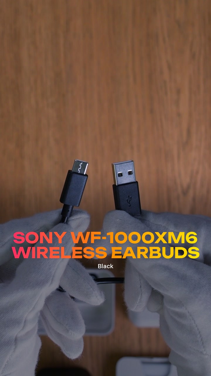 Sony WF-1000XM6 Wireless Earbuds (Black)
