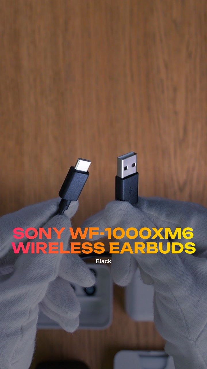 Sony WF-1000XM6 Wireless Earbuds (Black)