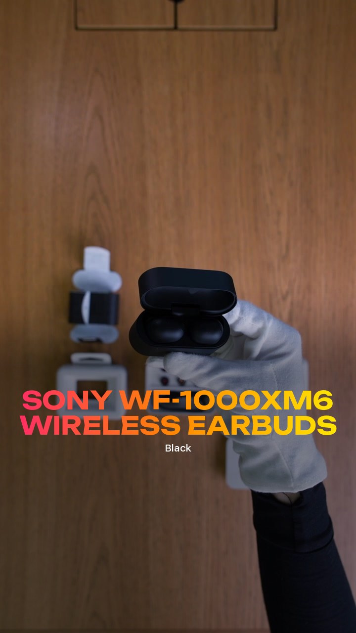Sony WF-1000XM6 Wireless Earbuds (Black)