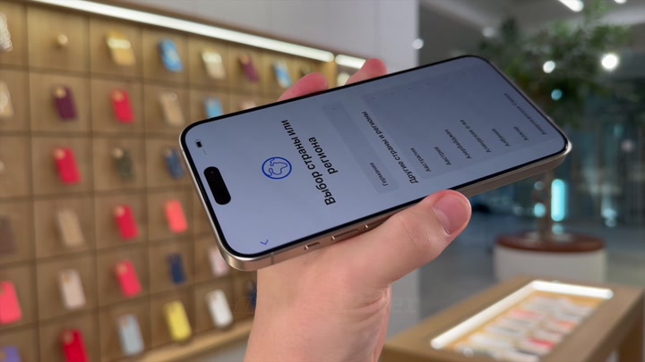 iPhone 15 Pro Max Natural Titanium