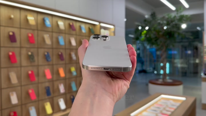 iPhone 15 Pro Max White Titanium